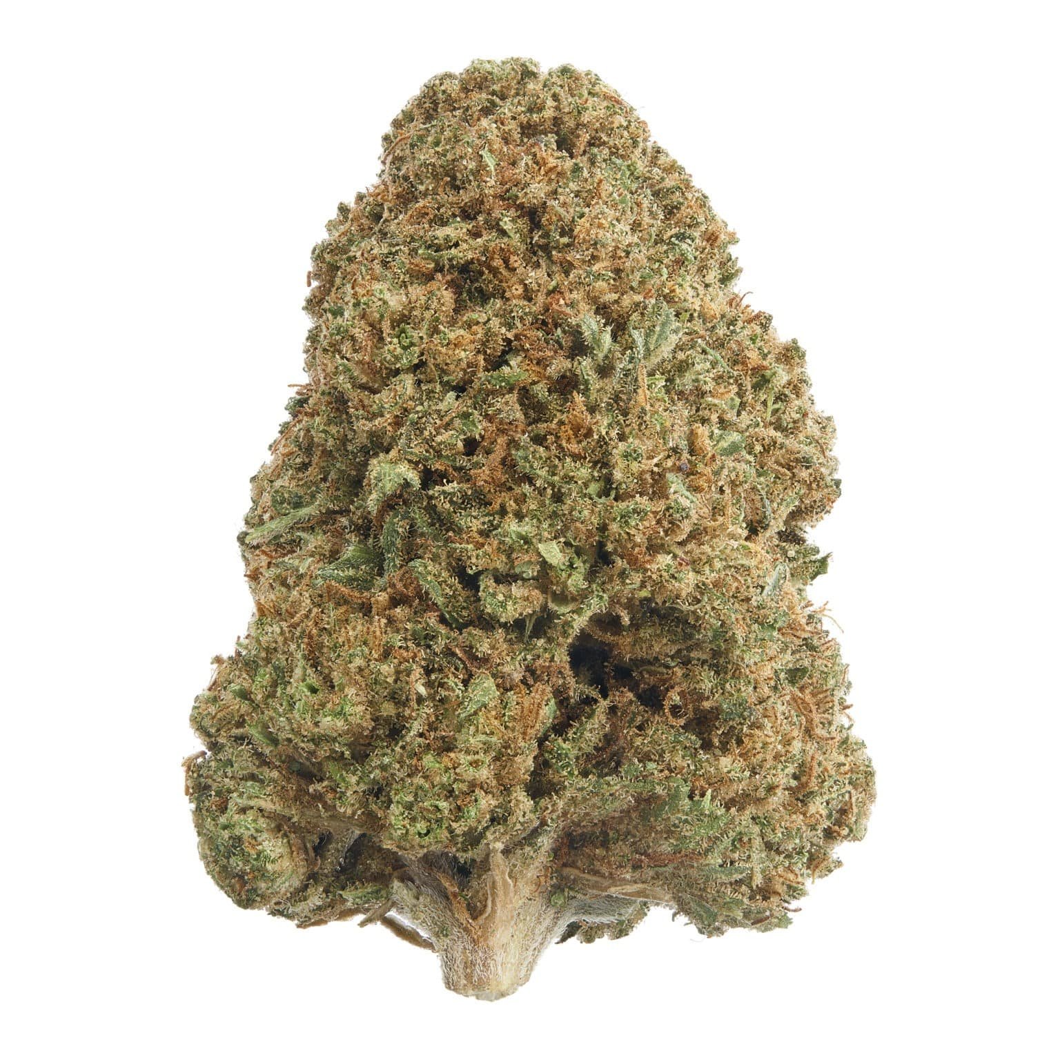 Lady Zaza THCa Flower