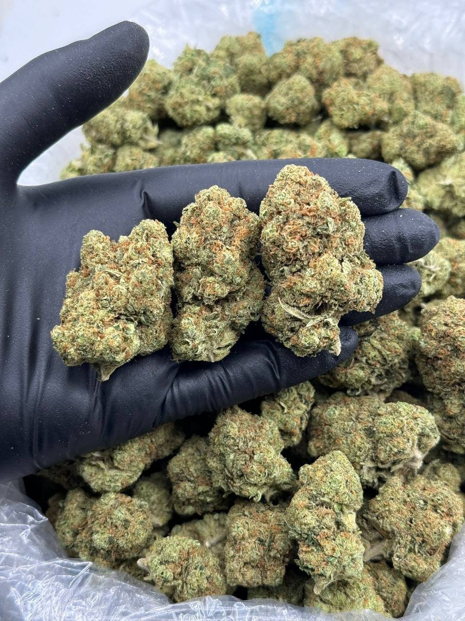 Larry OG THCa Flower