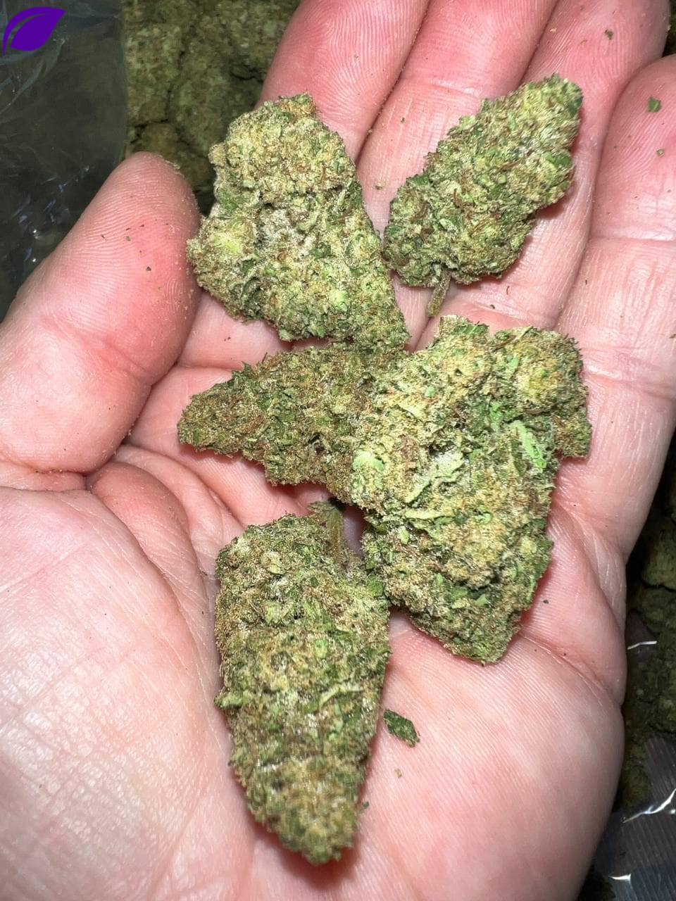 Lava Cake THCA - Image 2