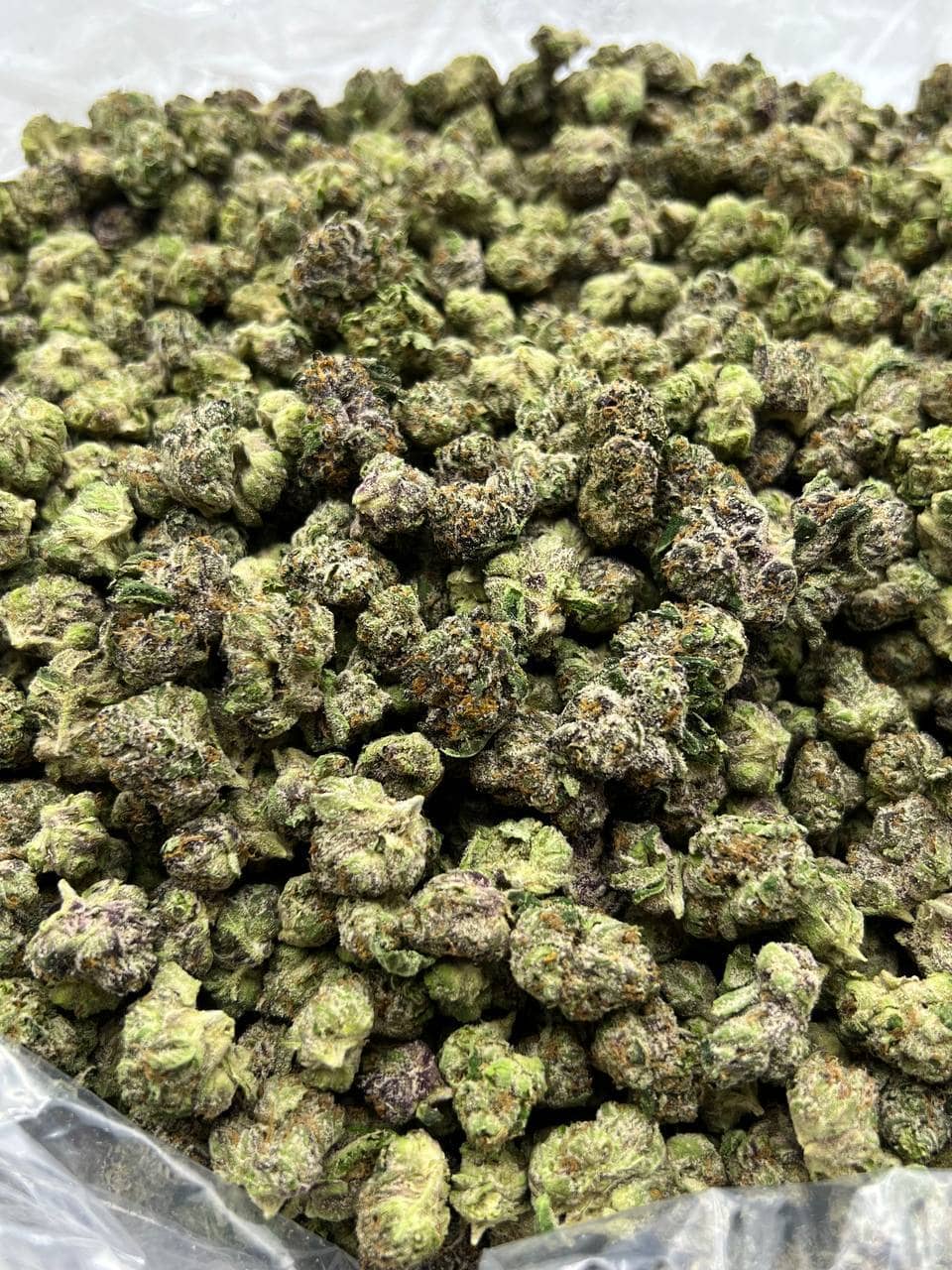 Lemon Cherry Gelato Smalls Indoor CBD Strain