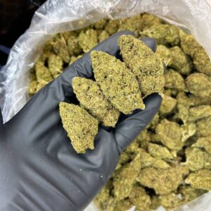 Master OG CBD Strain