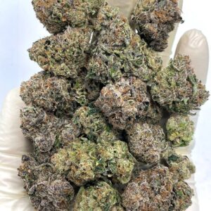 Midnight Runtz THCa Flower