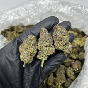 Mochi CBD Strain