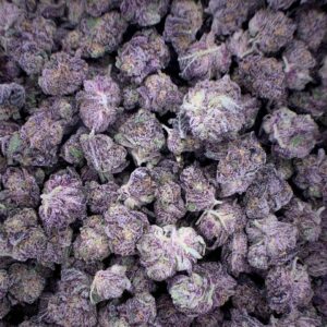 Northern Lights Delta-9 THC Flower