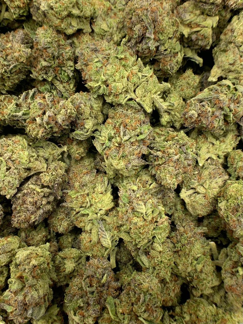Candy Belts THCa Flower - Image 2