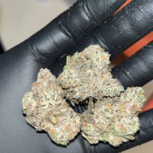 Oreo Blizzard THCA EXOTICS