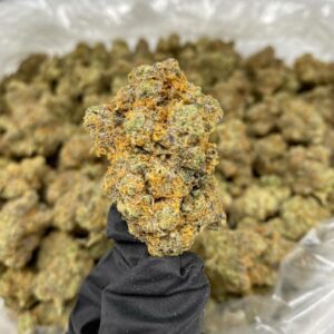 Oreoz THCa Flower
