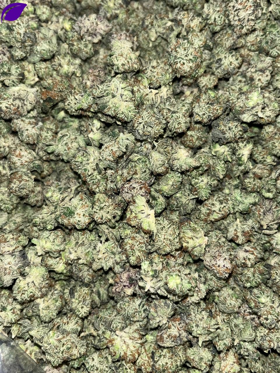 Oreoz smalls THCA Exotics - Image 2