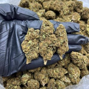 Pineapple Zest CBD Strain
