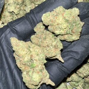 Papaya Bomb THCa Flower