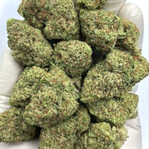 Papaya Punch THCa Flower