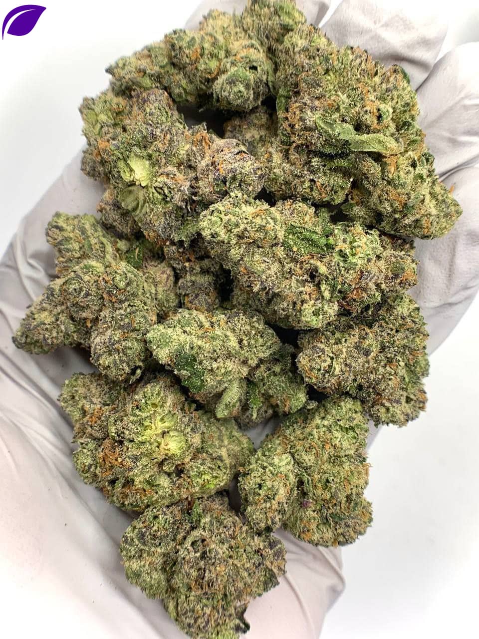 Pink Gummy Exotic THCa Flower