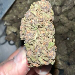 Pink Panther THCa Strain