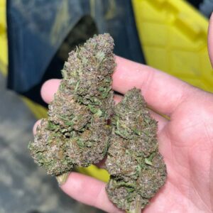Pink Pineapple CBD Strain