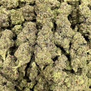 Pluto Gas Indoor CBD Strain