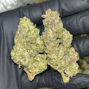 Project 007 THCa Flower