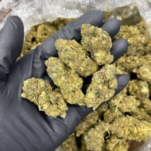 Purp Plat CBD Strain