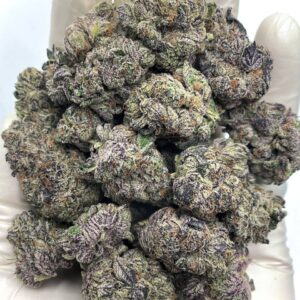 Purple Cream THCa Flower