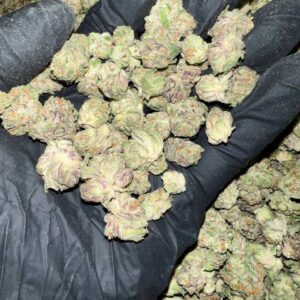 Purple Gushers THCa Flower