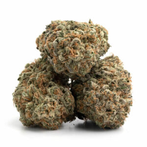 Purple Haze THCa Flower