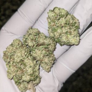 Purple Sorbet CBD Strain