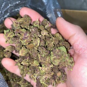Queen Slayer THCa Smalls