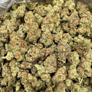 Sherblatto Indoor CBD Strain