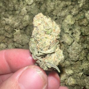 Sandia Gelato THCA