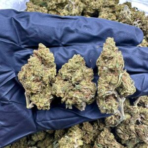 Skunk Diesel CBD Strain
