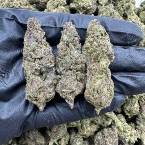 Starburst CBD Strain