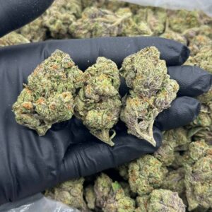Buy Sugar Tartz THCa Flower