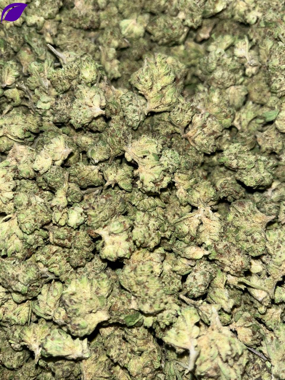 Sunday Driver THCa Smalls - Image 2