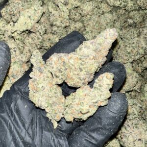 Super Sour Space Candy HHC Flower