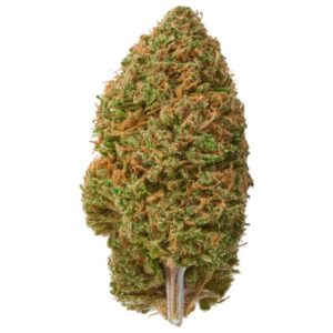 Swiss Cheese THCa Flower