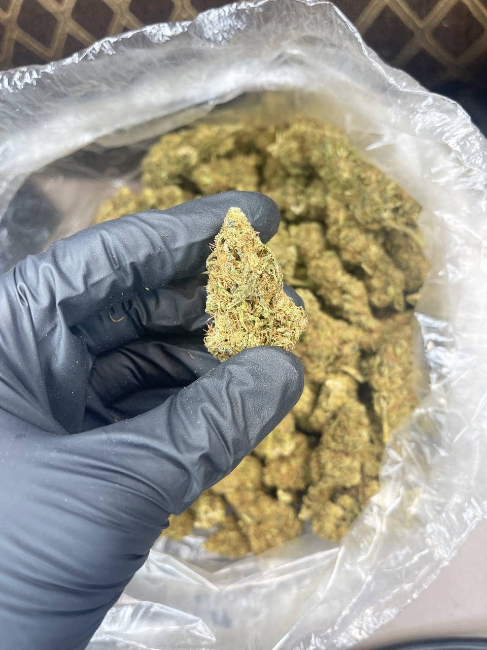 Thin Mintz CBD Strain - Image 2