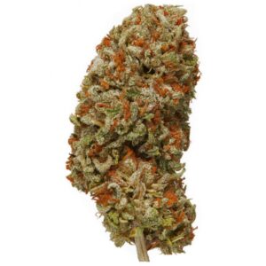 Uplifted Mind THCa Flower
