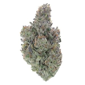 Vanilla Frosting THCa Flower