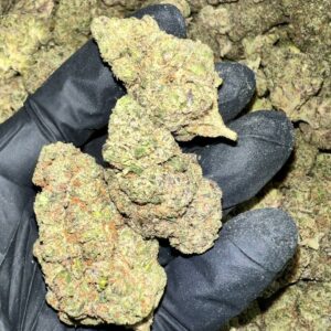 Violet Fog Exotic THCa Flower