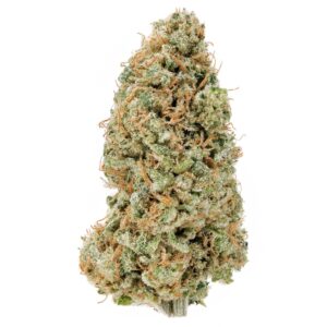 White Gold THCa Flower