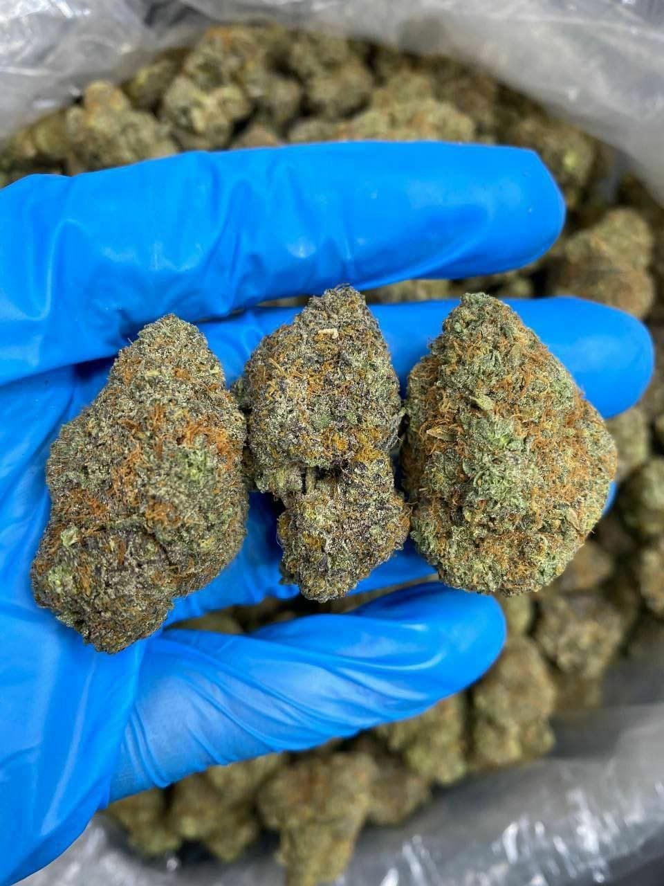 White Walker THCa Flower