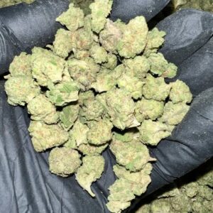 Gush Mintz THCa Flower