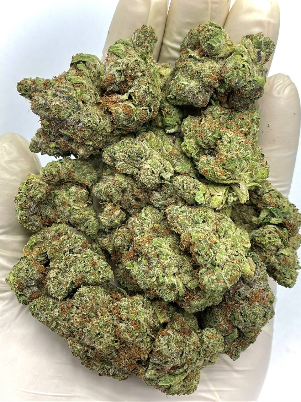 Cherry Cheesecake THCa Flower