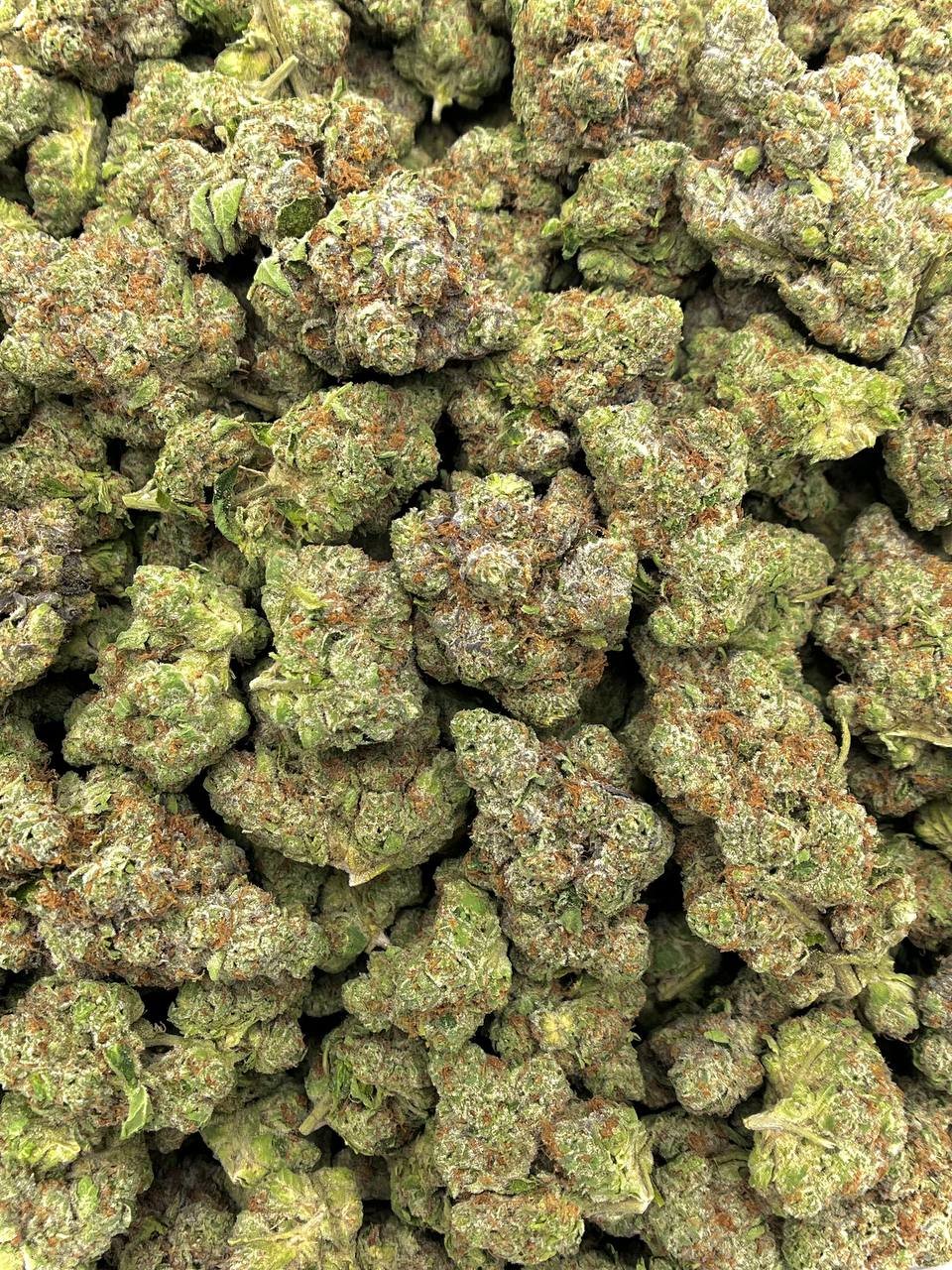 Cherry Cheesecake THCa Flower - Image 2