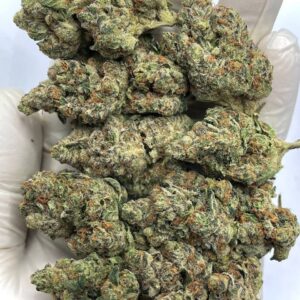 Dagashi Kush THCa Flower