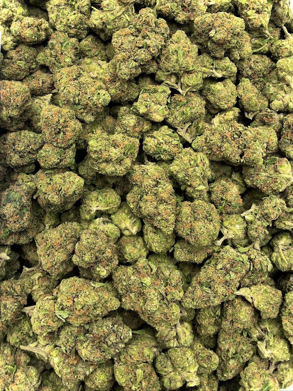 Laughing Gas THCa Flower - Image 2
