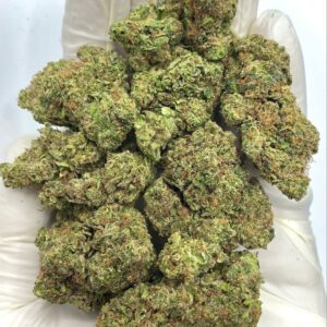 Tropicana Kush THCa Flower