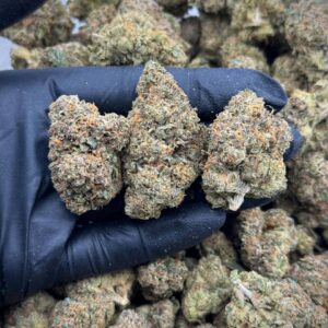 Windy City Runtz Exotic THCa Flower