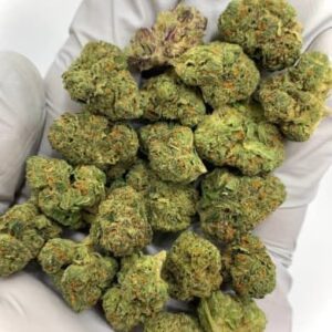 Papaya Delight THCa Flower