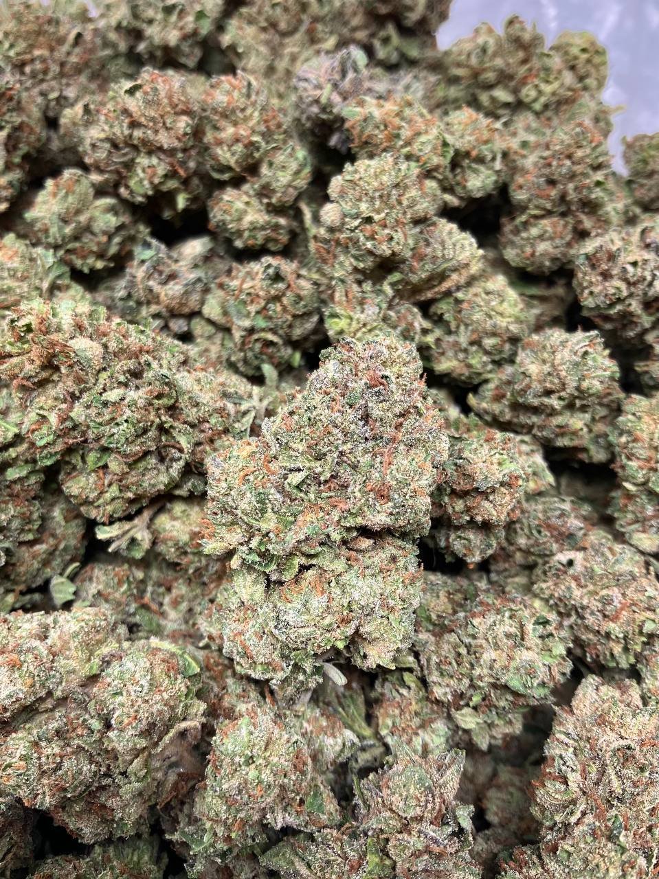 Kosher Kush THCA flower