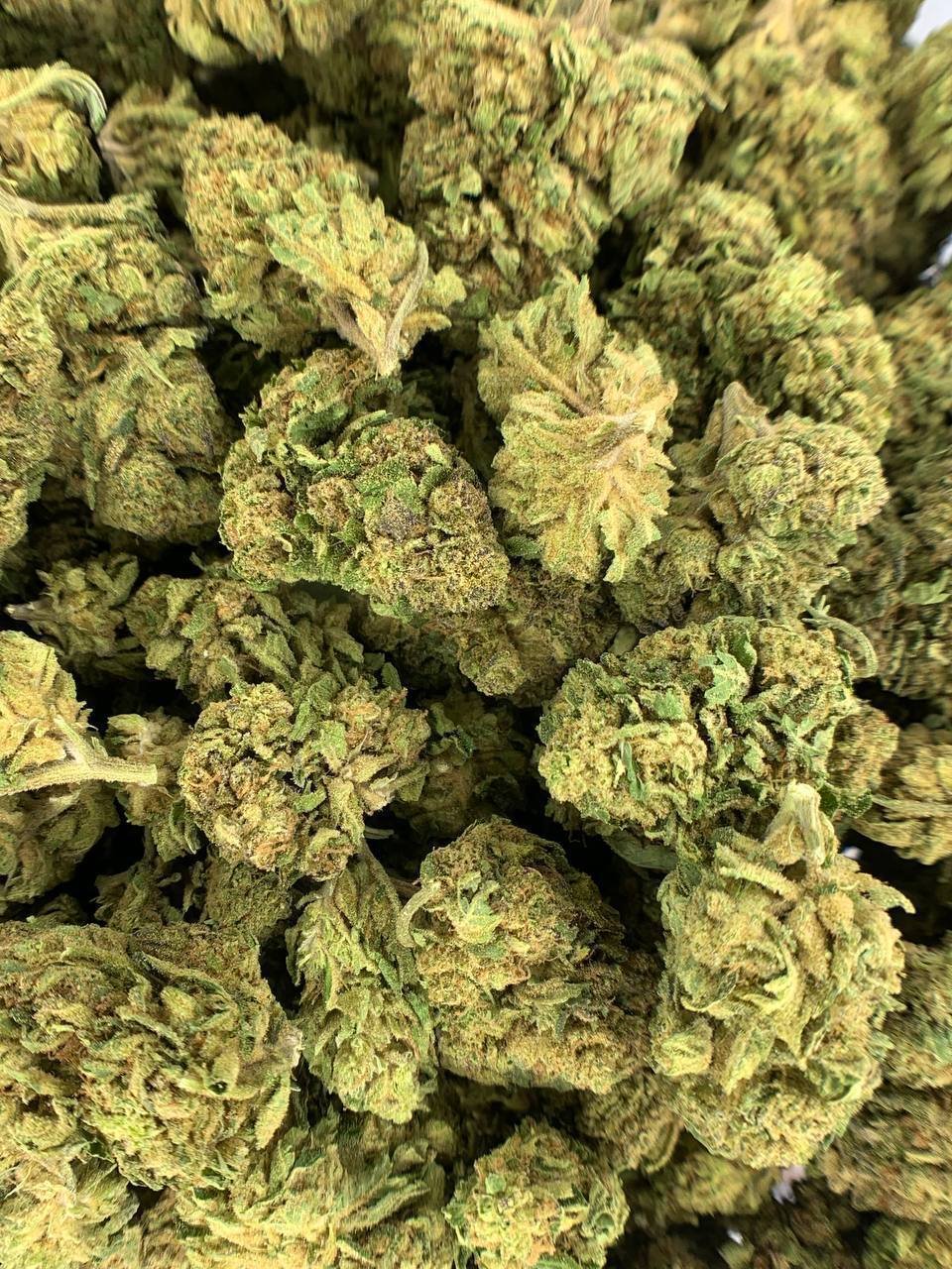 OG Kush CBC Flower
